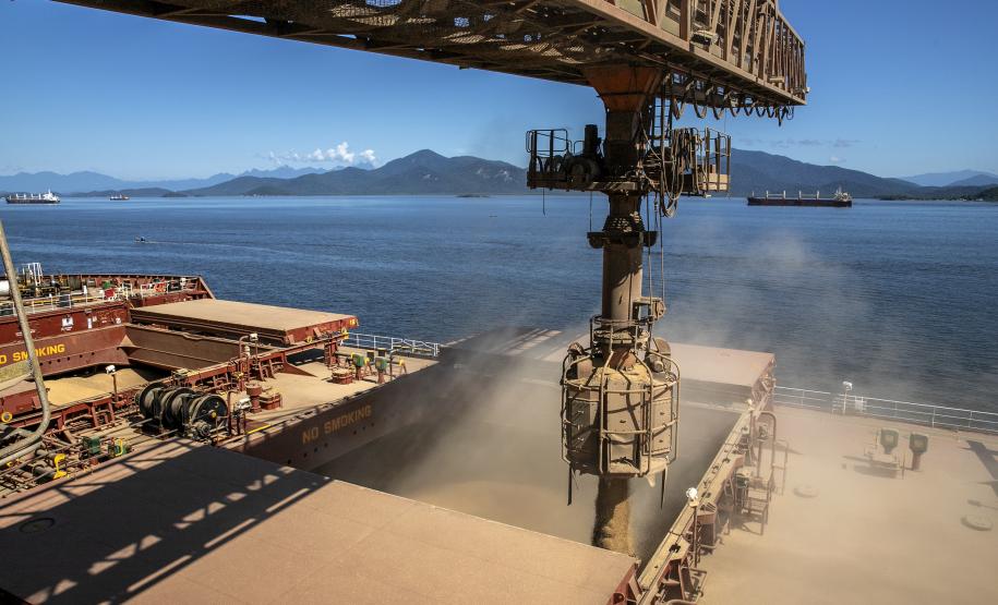 Imagem de Soja - Terminais paranaenses esperam exportar mais de 6,5 milhões de toneladas de granéis neste 2º trimestre