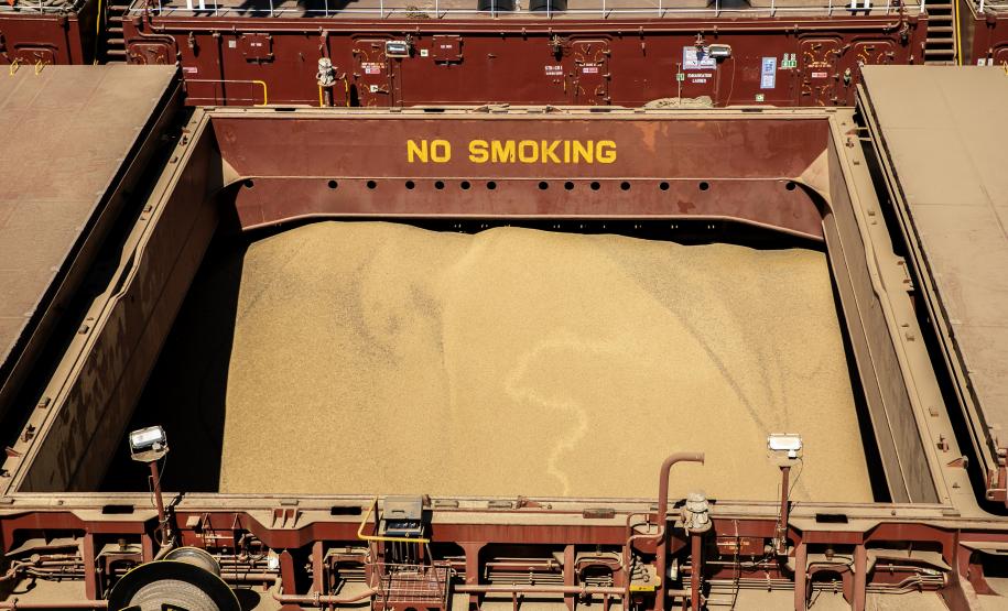 Imagem de Soja - Terminais paranaenses esperam exportar mais de 6,5 milhões de toneladas de granéis neste 2º trimestre