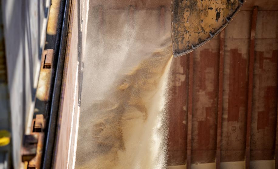 Imagem de Açúcar - Terminais paranaenses esperam exportar mais de 6,5 milhões de toneladas de granéis neste 2º trimestre