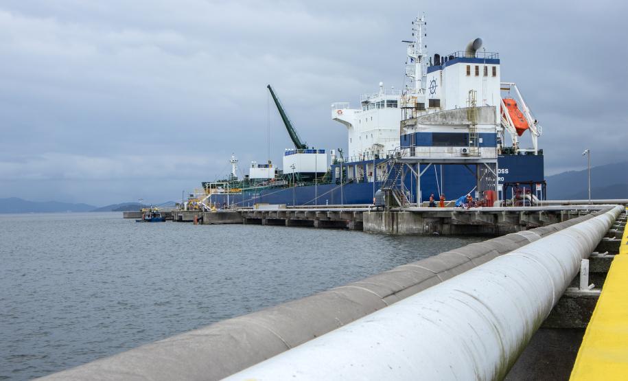 Exportações do complexo soja pelo Porto de Paranaguá crescem 25% no 1º trimestre