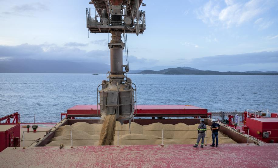 Embarques pelo corredor de exportação do Porto de Paranaguá crescem 7,4%