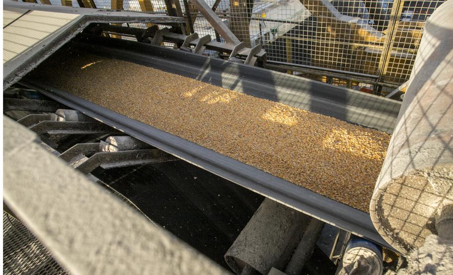 Foram embarcadas 1.546.247 toneladas do produto nos cinco primeiros meses de 2022 e 591.538 toneladas no ano anterior – um acréscimo de 954.709 toneladas. Principais motivos são o início da colheita da safrinha e o conflito entre Rússia e Ucrânia.