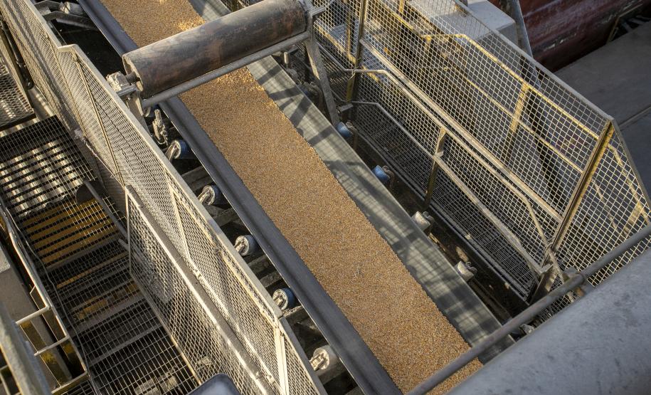 Foram embarcadas 1.546.247 toneladas do produto nos cinco primeiros meses de 2022 e 591.538 toneladas no ano anterior – um acréscimo de 954.709 toneladas. Principais motivos são o início da colheita da safrinha e o conflito entre Rússia e Ucrânia.