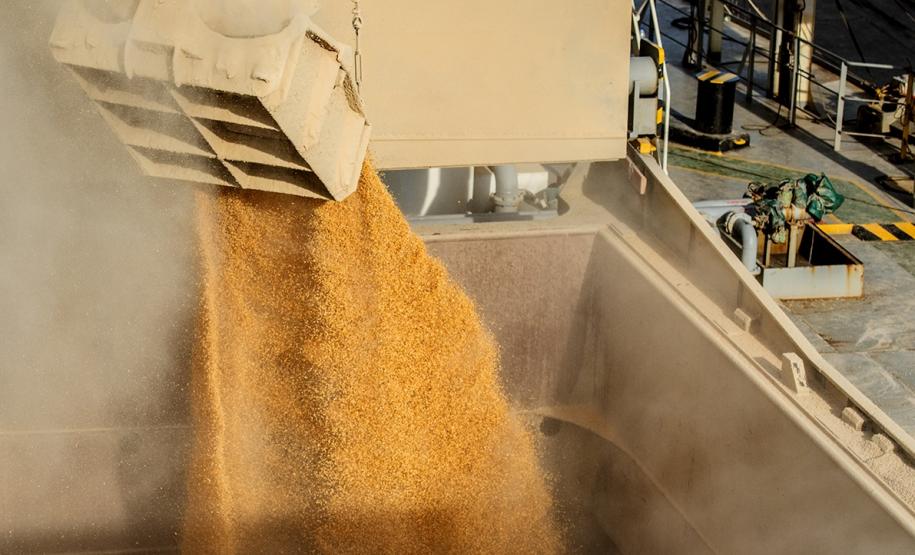 Foram embarcadas 1.546.247 toneladas do produto nos cinco primeiros meses de 2022 e 591.538 toneladas no ano anterior – um acréscimo de 954.709 toneladas. Principais motivos são o início da colheita da safrinha e o conflito entre Rússia e Ucrânia.