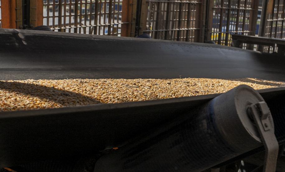 Foram embarcadas 1.546.247 toneladas do produto nos cinco primeiros meses de 2022 e 591.538 toneladas no ano anterior – um acréscimo de 954.709 toneladas. Principais motivos são o início da colheita da safrinha e o conflito entre Rússia e Ucrânia.