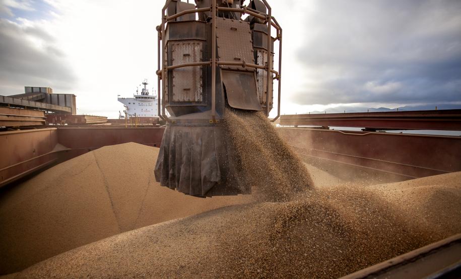 Projeção é de aumento de 53% em relação ao mesmo período de 2021. O crescimento está sendo puxado pelo milho, que deve exportar 2,6 milhões de toneladas no trimestre, mais de 2 mil vezes o volume do ano anterior