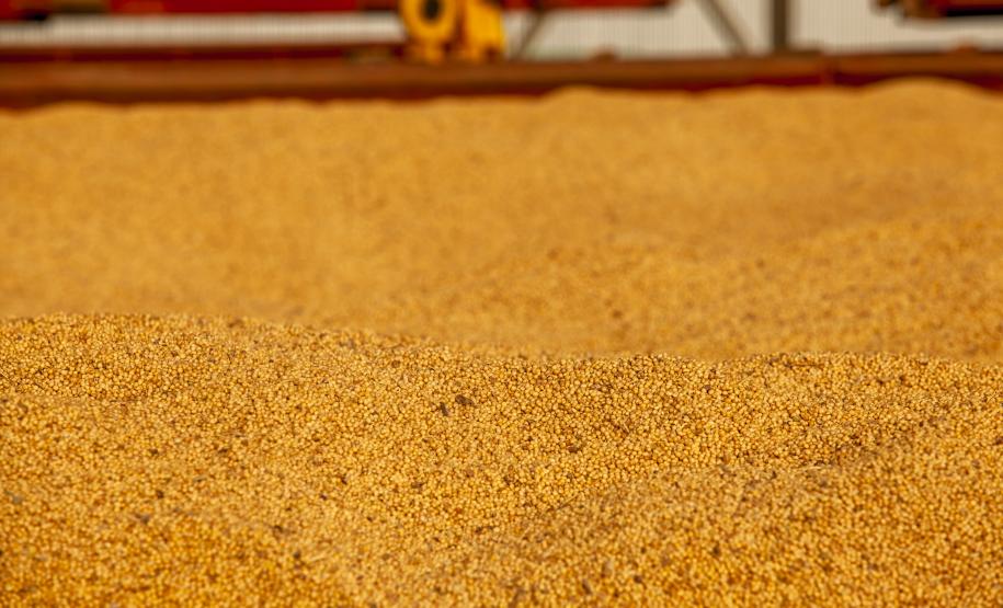 Projeção é de aumento de 53% em relação ao mesmo período de 2021. O crescimento está sendo puxado pelo milho, que deve exportar 2,6 milhões de toneladas no trimestre, mais de 2 mil vezes o volume do ano anterior