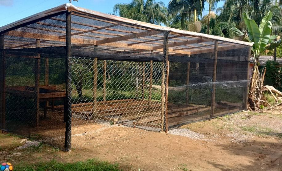 Portos do Paraná inaugura oito viveiros comunitários para recuperar áreas degradadas