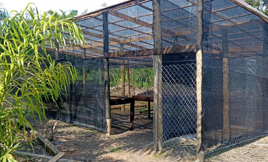 Portos do Paraná inaugura oito viveiros comunitários para recuperar áreas degradadas