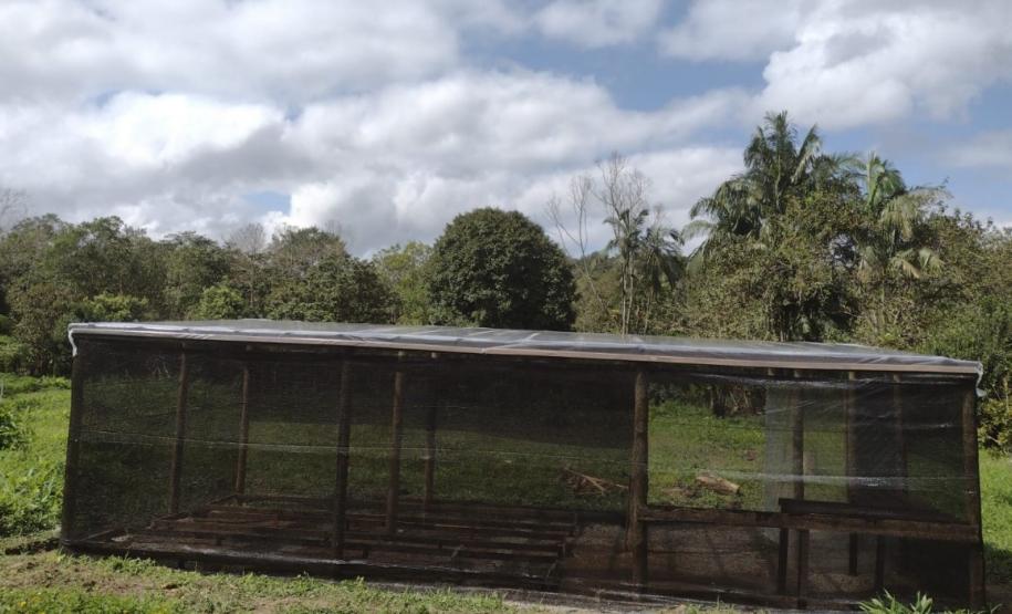 Portos do Paraná inaugura oito viveiros comunitários para recuperar áreas degradadas