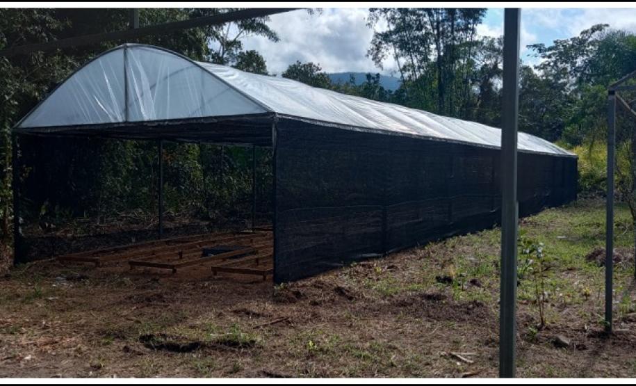 Portos do Paraná inaugura oito viveiros comunitários para recuperar áreas degradadas