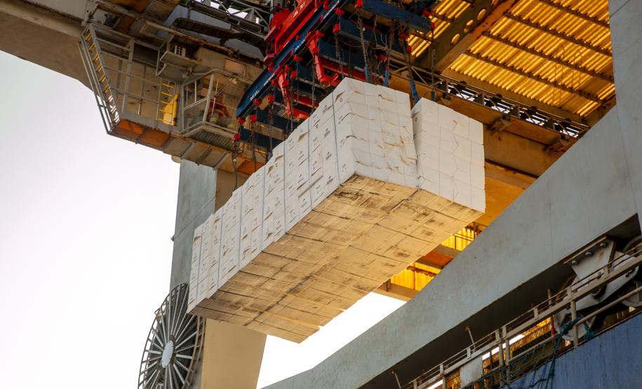 Movimentação portuária do Paraná registra alta no mês e no acumulado de outubro