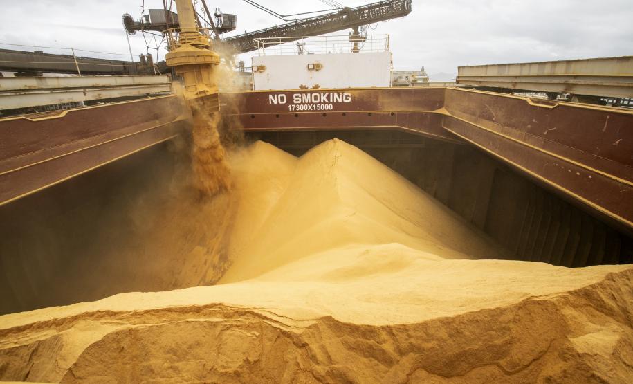 Porto de Paranaguá tem alta de 11,73% nas movimentações de grãos pelo Corredor Leste