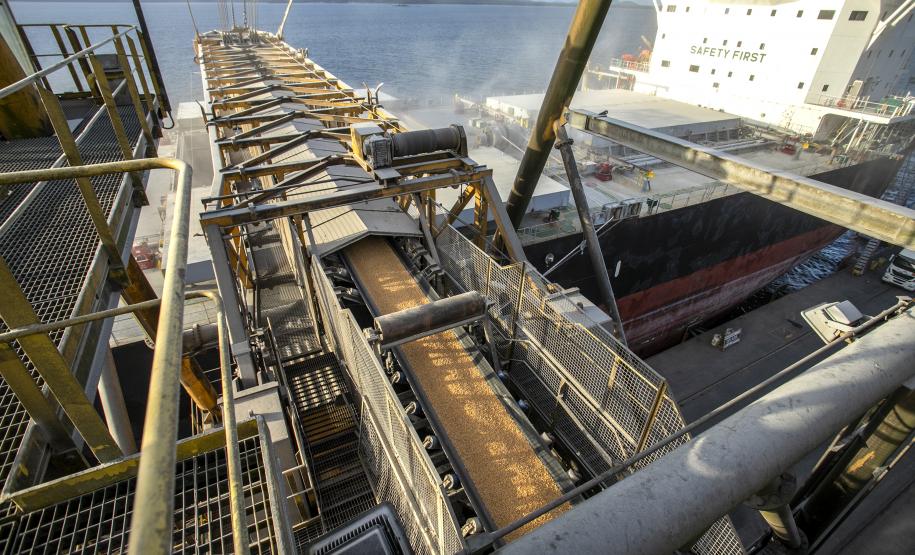 Porto de Paranaguá tem alta de 11,73% nas movimentações de grãos pelo Corredor Leste