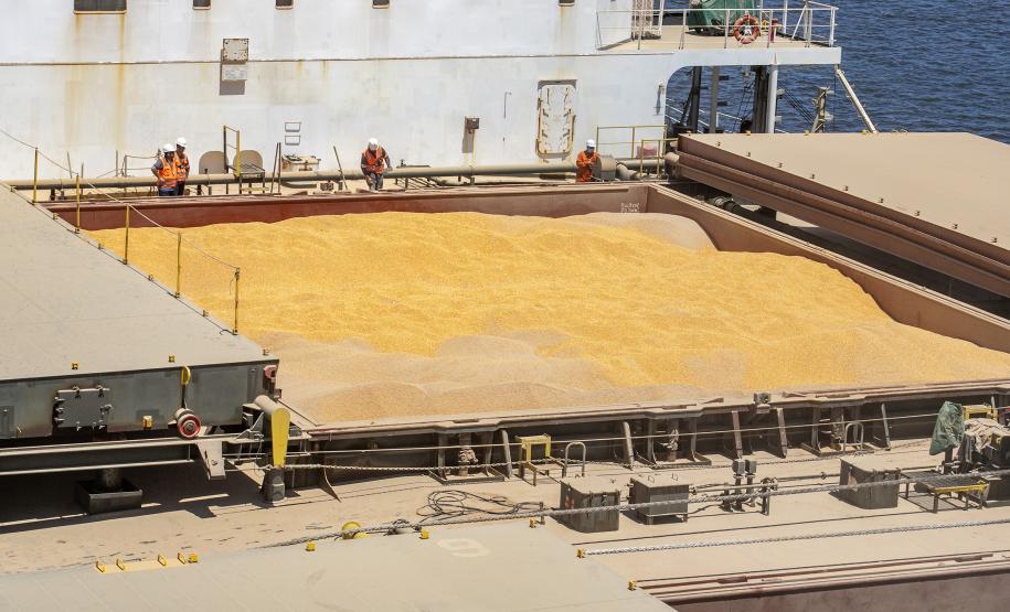 Porto de Paranaguá tem alta de 11,73% nas movimentações de grãos pelo Corredor Leste