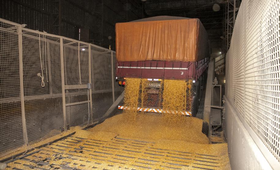 Janeiro foi de recorde nas exportações de grãos pelo Corredor Leste do Porto de Paranaguá