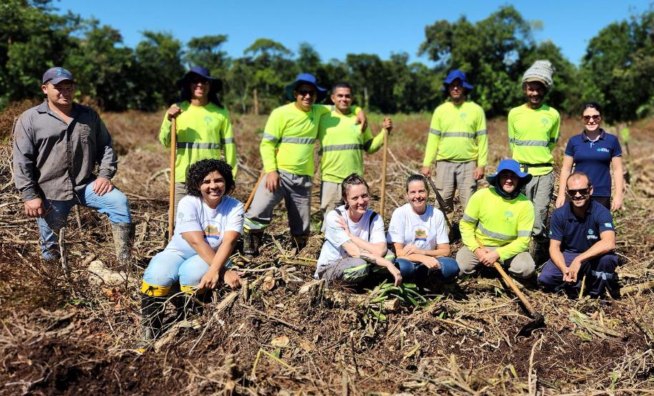 Portos do Paraná inicia plantio de mudas de árvores em áreas de preservação degradadas