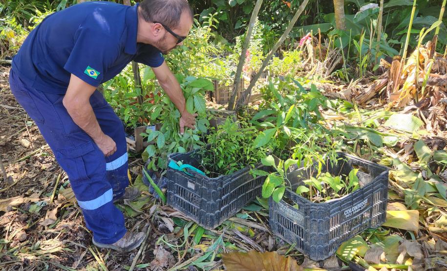 Portos do Paraná inicia plantio de mudas de árvores em áreas de preservação degradadas