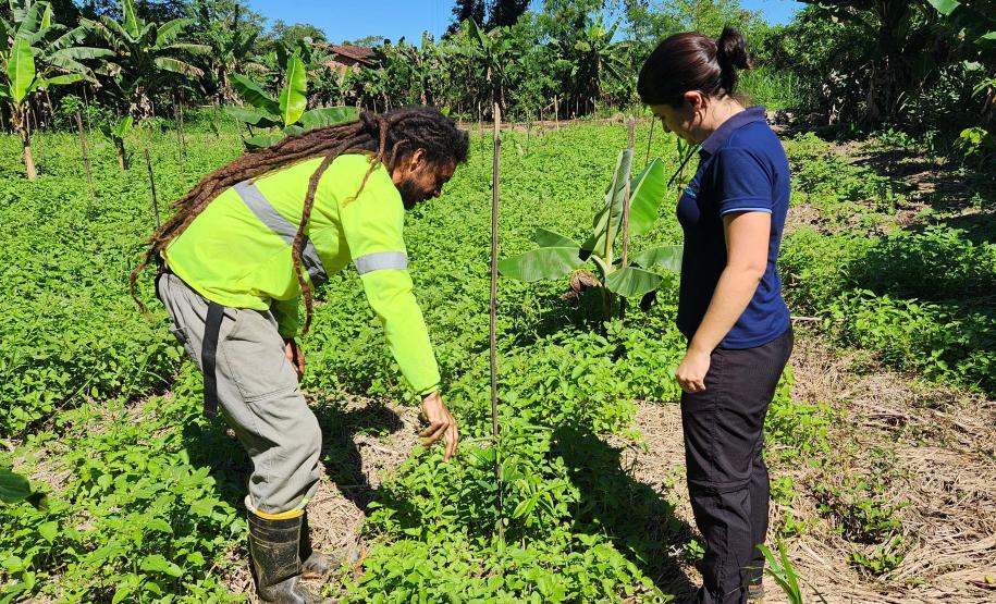 Portos do Paraná inicia plantio de mudas de árvores em áreas de preservação degradadas