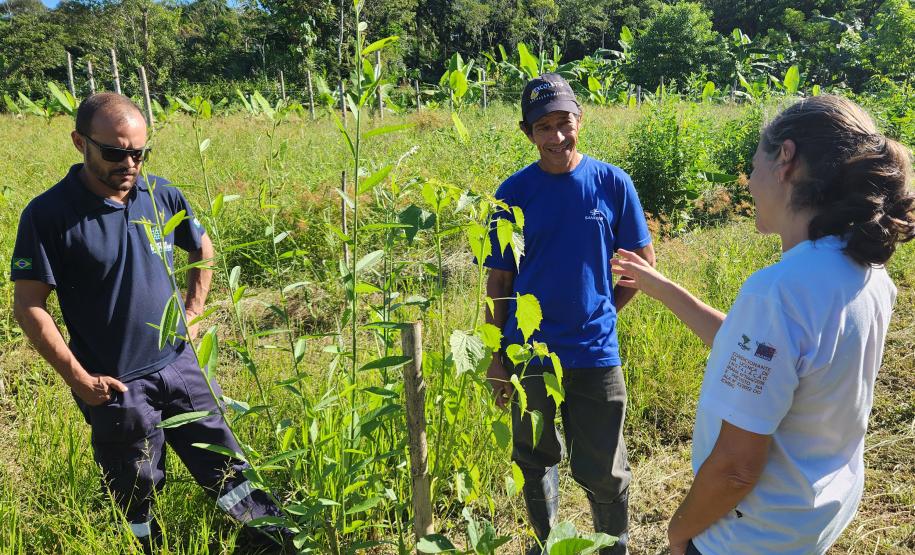 Portos do Paraná inicia plantio de mudas de árvores em áreas de preservação degradadas