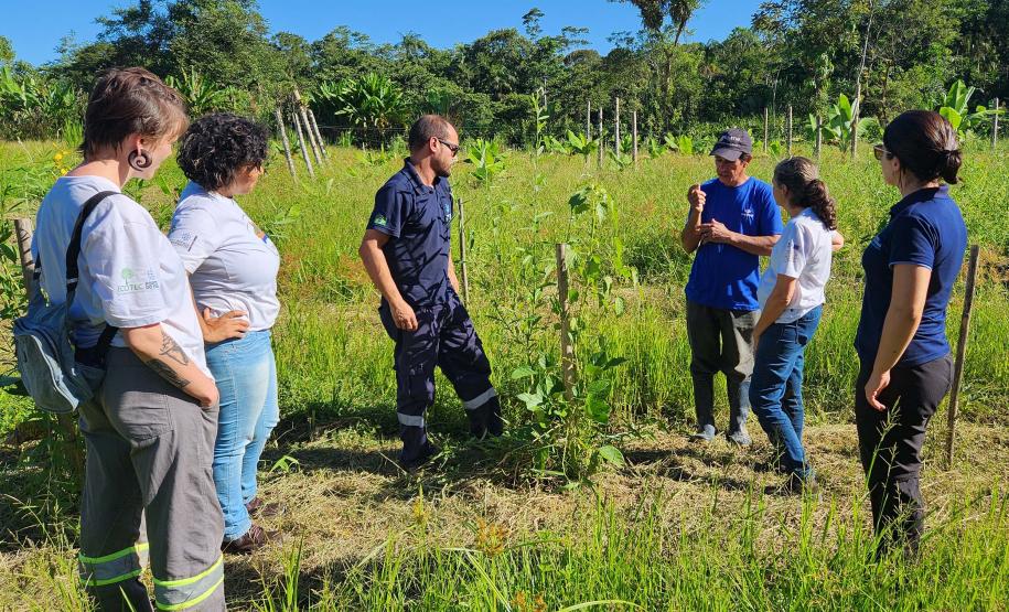 Portos do Paraná inicia plantio de mudas de árvores em áreas de preservação degradadas
