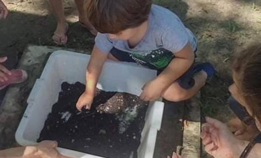 Ação coordenada pela Portos do Paraná envolveu 250 pessoas e compostou cerca de uma tonelada de resíduos orgânicos gerados na Ilha do Mel em 2022