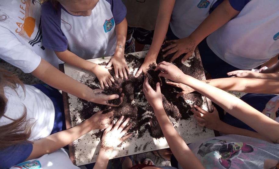 Ação coordenada pela Portos do Paraná envolveu 250 pessoas e compostou cerca de uma tonelada de resíduos orgânicos gerados na Ilha do Mel em 2022