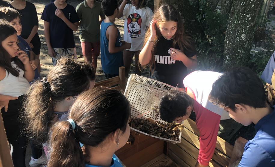 Portos do Paraná instala novas composteiras em escolas da Ilha do Mel