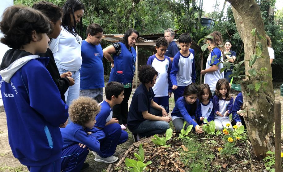Portos do Paraná instala novas composteiras em escolas da Ilha do Mel