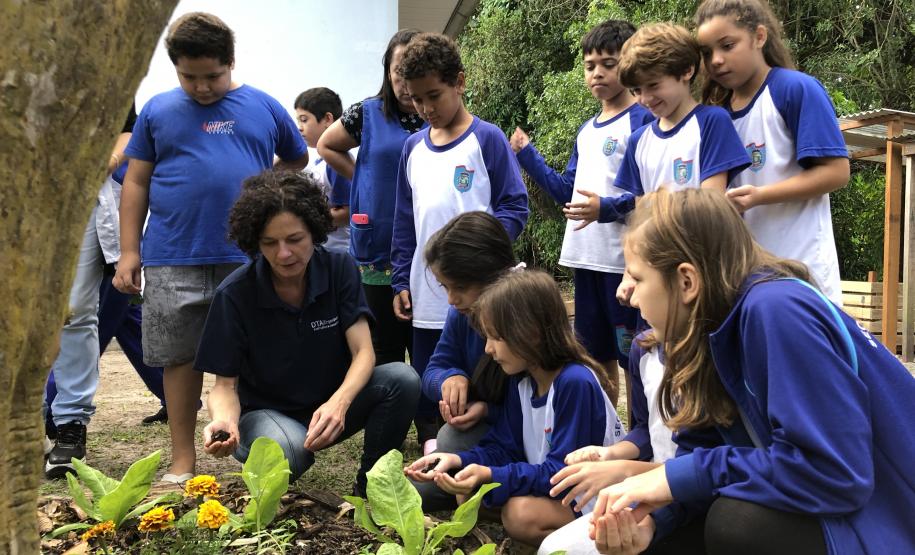 Portos do Paraná instala novas composteiras em escolas da Ilha do Mel