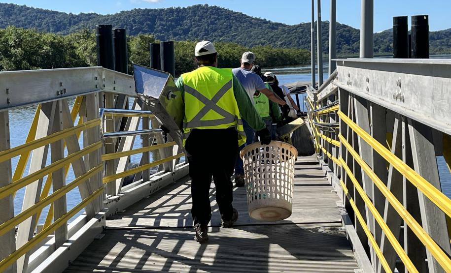 Mutirão de limpeza de manguezais retira quase 2,5 toneladas do entorno de Antonina