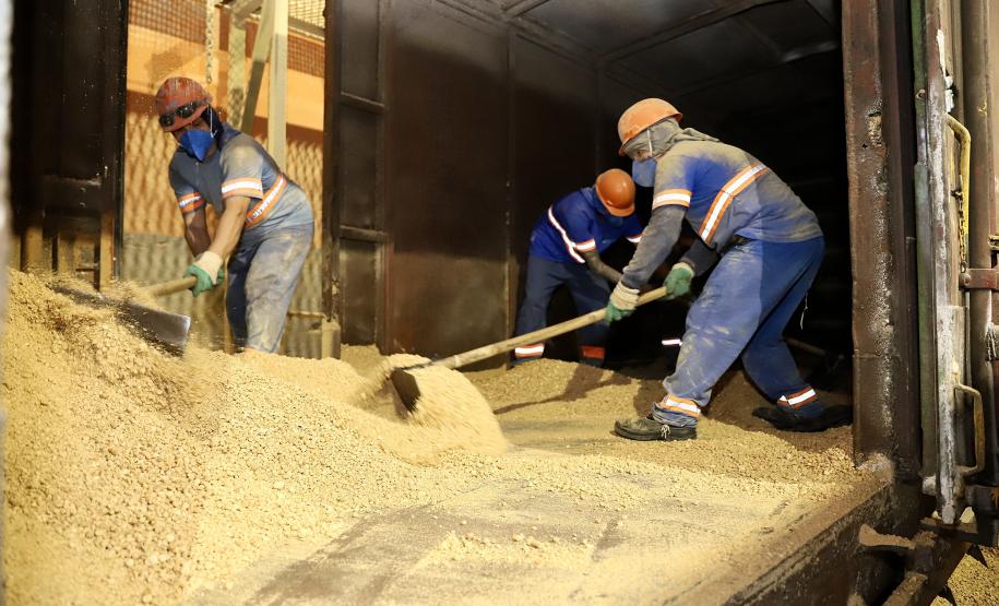 Porto de Paranaguá registra aumento de transporte de cargas por ferrovia em maio