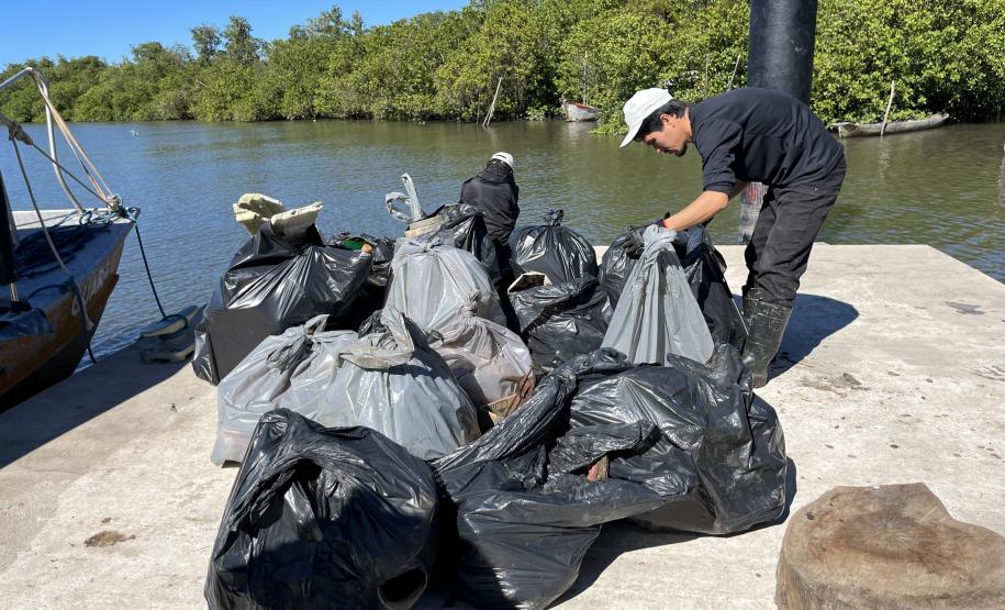 Mutirão de limpeza de manguezais retira quase 2,5 toneladas do entorno de Antonina