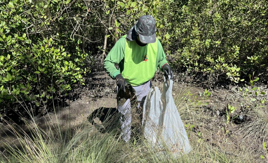 Mutirão de limpeza de manguezais retira quase 2,5 toneladas do entorno de Antonina