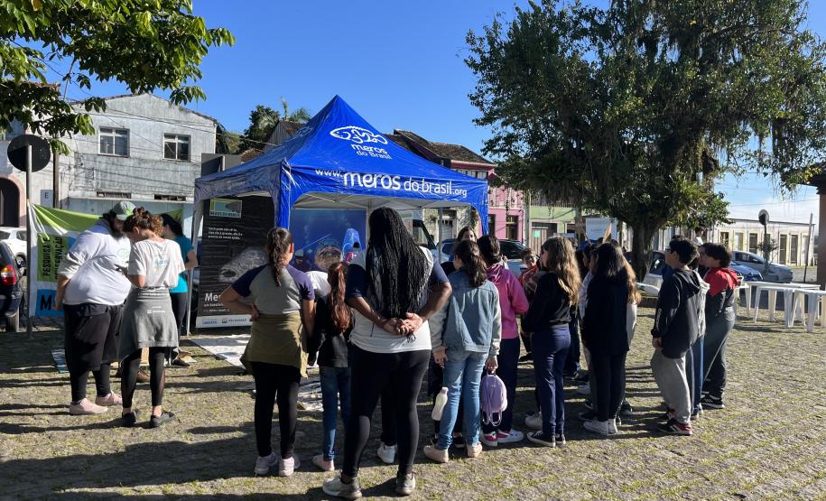 Mutirão de limpeza de manguezais retira quase 2,5 toneladas do entorno de Antonina