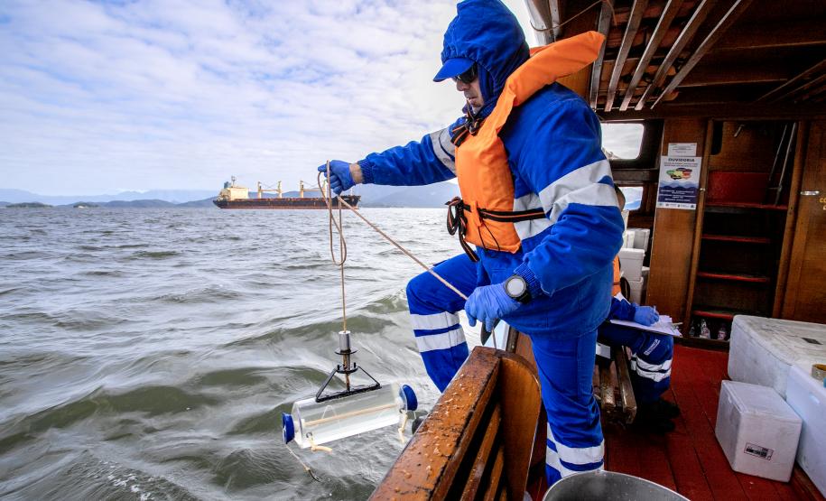 Portos do Paraná são as melhores opções para exportações no Estado