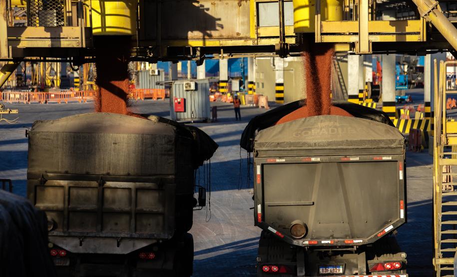 Paranaguá deve registrar aumento na importação de fertilizantes nos próximos três meses