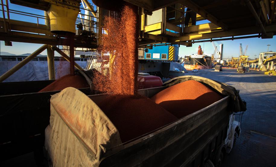 Paranaguá deve registrar aumento na importação de fertilizantes nos próximos três meses