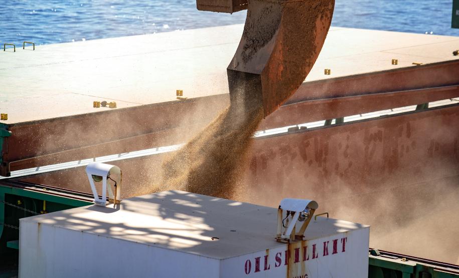 Portos do Paraná fecham 1º semestre com alta na movimentação geral