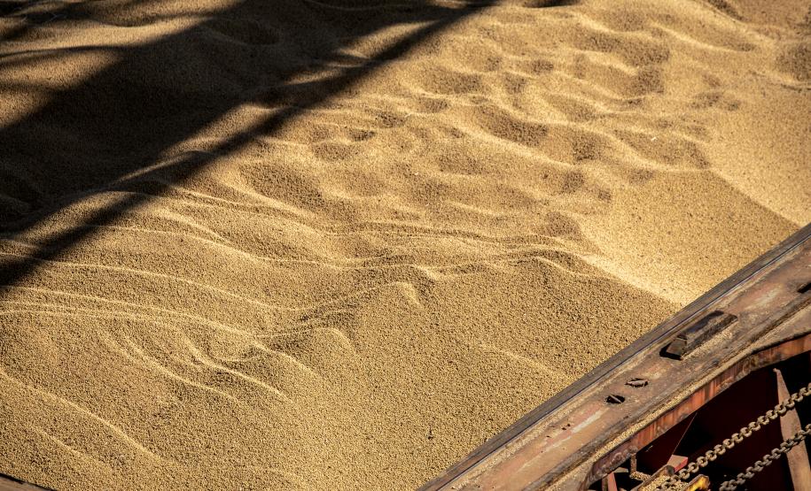 Portos do Paraná fecham 1º semestre com alta na movimentação geral