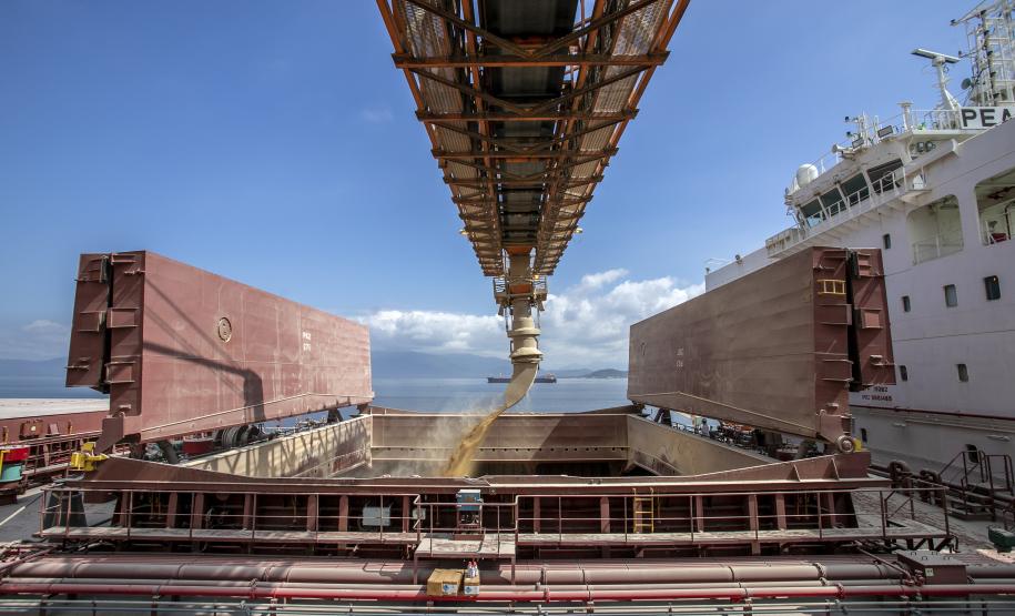 Portos do Paraná registram alta de 4% na movimentação geral de janeiro a julho