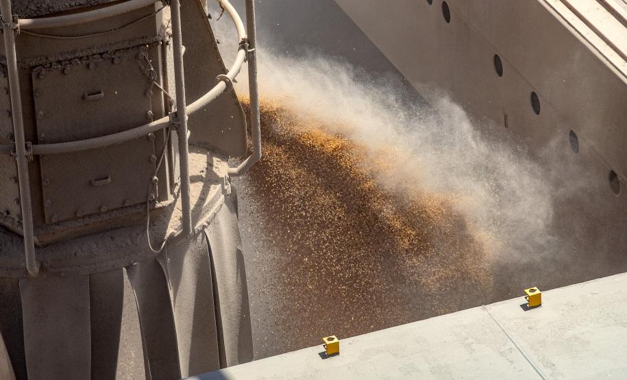 Portos do Paraná registram alta de 4% na movimentação geral de janeiro a julho