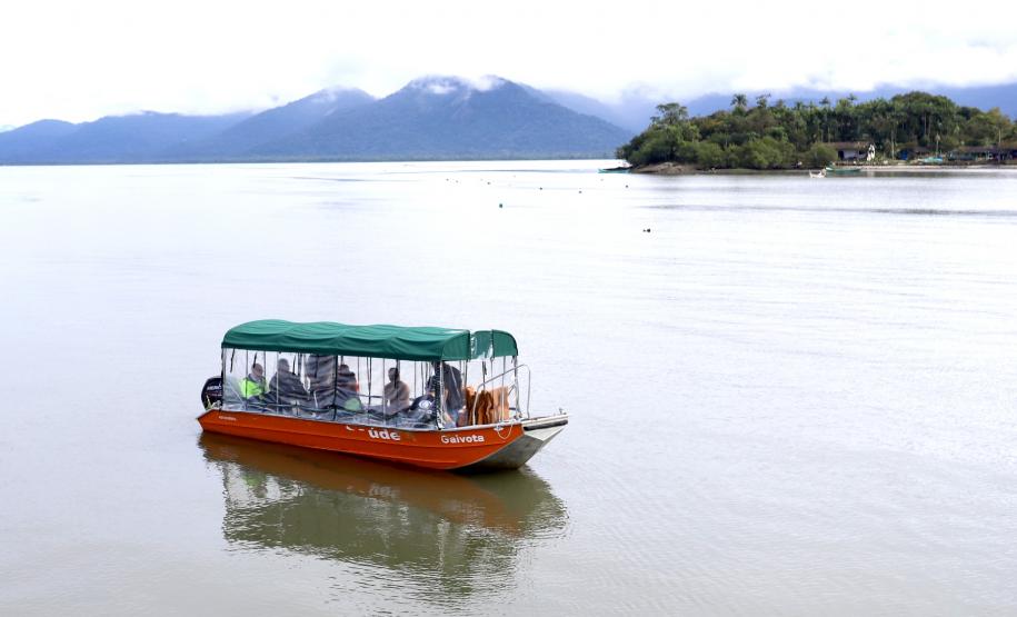 Porto em Ação presta mais de 200 atendimentos na comunidade do Amparo
