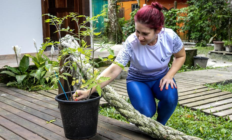 Portos do Paraná certifica empresas da Ilha do Mel com “Selo Verde 2023”