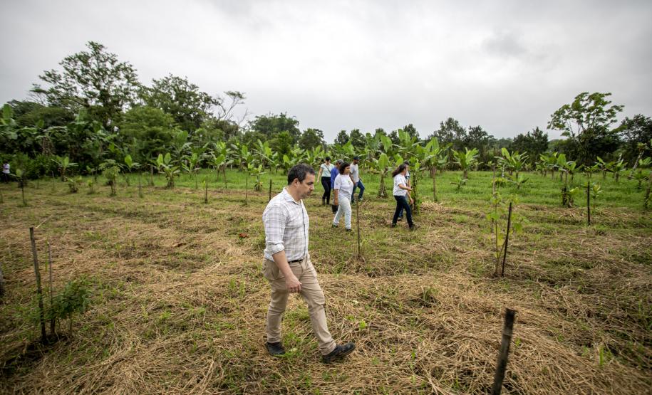 Portos do Paraná recupera área florestal equivalente a 19 campos de futebol em Antonina