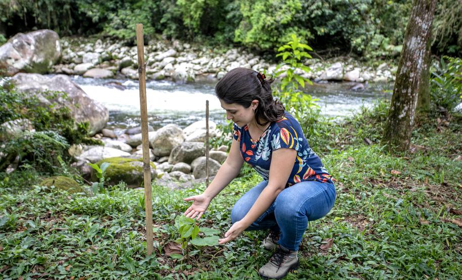 Em 2023, Portos do Paraná investe R$ 30 milhões em programas ambientais, sociais, reformas e construções