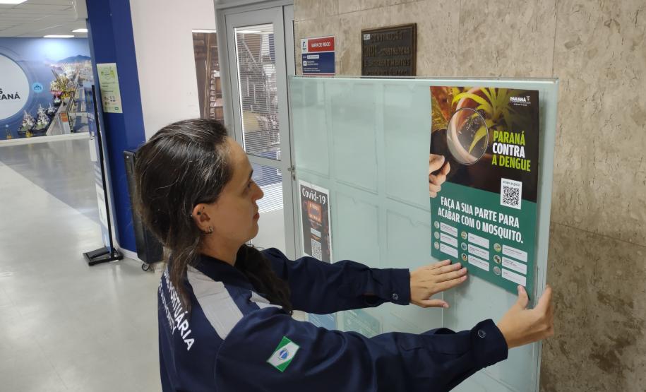 Portos do Paraná reforça cuidados contra a dengue no verão