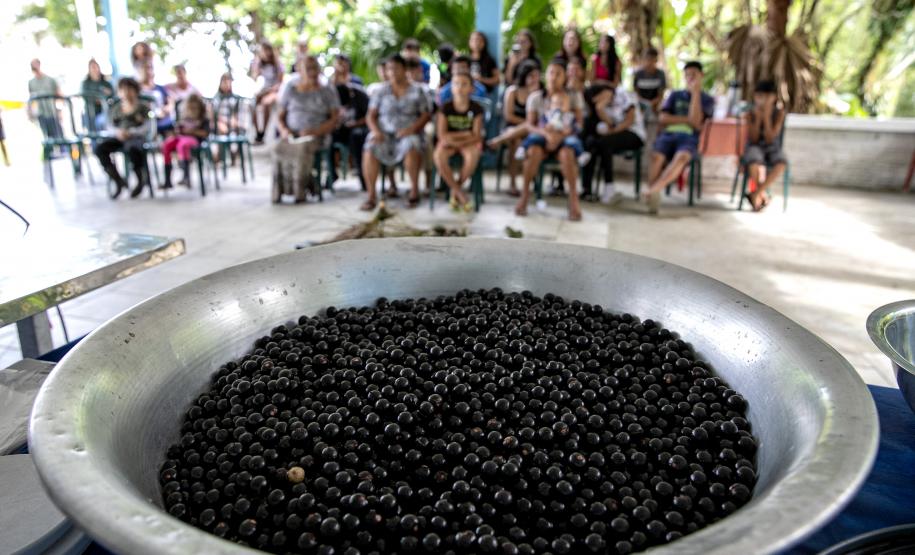 Portos do Paraná oferece oficina gratuita para coleta e despolpa de açaí juçara