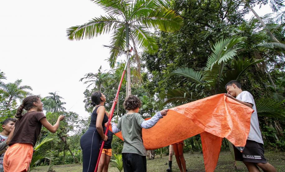 Portos do Paraná oferece oficina gratuita para coleta e despolpa de açaí juçara