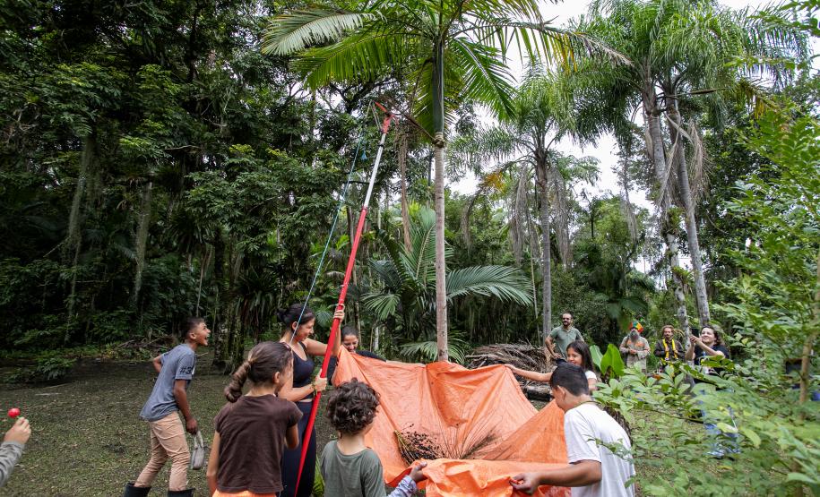 Portos do Paraná oferece oficina gratuita para coleta e despolpa de açaí juçara